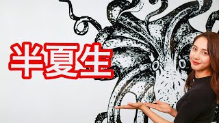 7月1日 二十四節気・雑節「半夏生」タコ食べる？