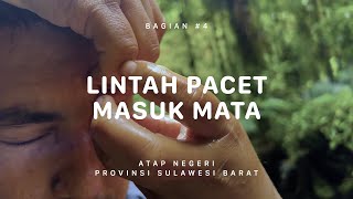 GUNUNG GANDANG DEWATA - Atap Negeri Sulawesi Barat #4
