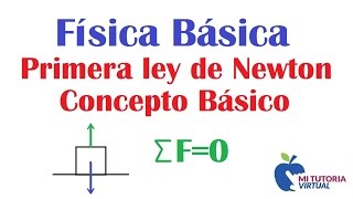 Primera Ley de Newton - Ley de la Inercia - Concepto General - Video 105