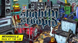 Life Rolls On - Slightly Stoopid (Audio)