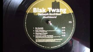 Blak Twang - Echo Chamber (Ft. Roots Manuva, Seanie T)