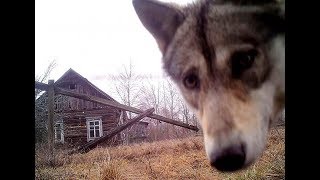 Что мы берём с собой в Чернобыль. Лайфхаки + дрон 4к видео
