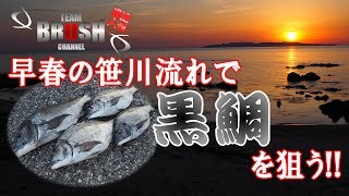 VOL1 新潟県村上市笹川流れ「桑川沖磯 の黒鯛」