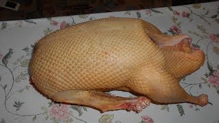Как разделать домашнюю птицу (гуся, утку, курицу)