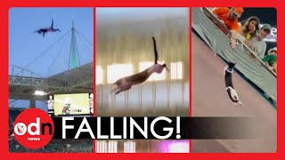Fans Catch CAT Plummeting from Stadium