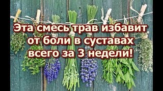 Эта смесь трав избавит от боли в суставах всего за 3 недели!