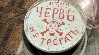 Как сохранить червей на зиму в квартире.
