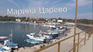 Марина Царево