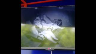 "Метрострах "5D