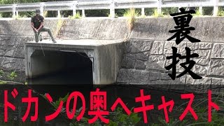 バス釣り陸っぱりに役立つ股抜きドカンミラクルキャスト　まるりんのMY GAME