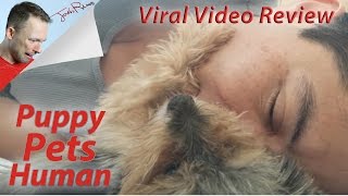 Viral Video: Puppy petting his owner!