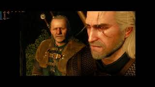 Pentium J5005 + GTX 1050 Ti: Witcher 3 ultrawide