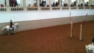 Spanish riding school in Vienna