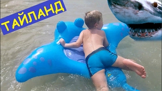 Огромный СКАТ спас мальчика от АКУЛЫ Тайланд День 3 Видео для  детей a large Stingray