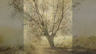 Seetyca & Thom Yeesland: Simplon