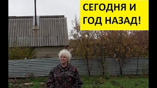 ОБЗОР ОГОРОДА 23 ОКТЯБРЯ. 