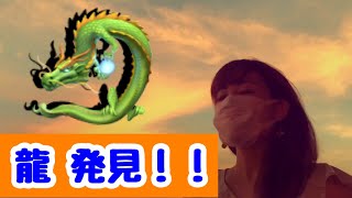 金龍、発見！！｜Gold Dragon discovered! !｜金龙发现了！！
