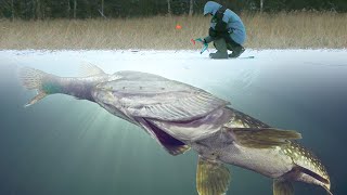 Реакция ЩУКИ на МЕЛКОГО ЖИВЦА!!! Подводная съемка