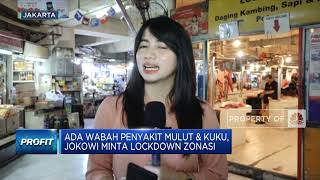 Ada Wabah Penyakit Mulut & Kuku, Jokowi Minta Lockdown Zonasi