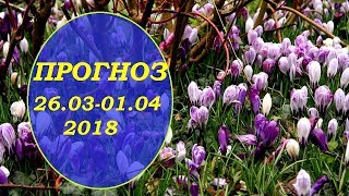 Прогноз на неделю с 26.03-01.04 2018 для всех знаков зодиака. Гадание на картах Таро и оракулах.