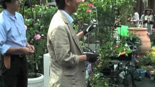 つるバラの剪定と誘引の実演（プロの仕立ての技）