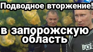 ВТО.РЖЕНИЕ! ЗАПОРОЖСКАЯ ОБЛАСТЬ! 95 квартал "отдыхает"