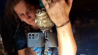 Что там?! Кто там?! Что эта сова в зеркале себе позволяет?! Троллим совёнка Лучика
