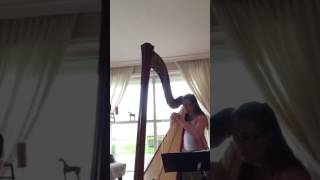 Happy Harp-Ing 4 , Etude nr 7Ingrid Beerda-Hütten