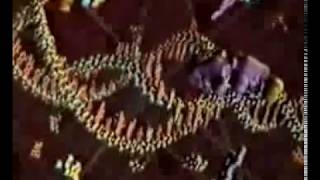 ДНК и РНК в биосинтезе белка (мультпликация)