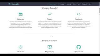 Taurus0x Обзор проекта