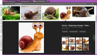 C# Бесплатный доступ ко всем курсам