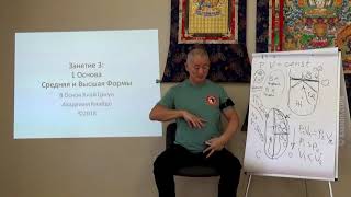 Диафрагма человека: Значение и функции диафрагмы