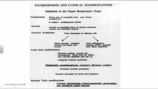 Corynebacterium diphtheriae