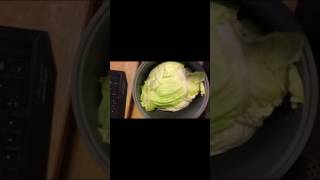電子鍋燉高麗菜