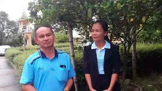 การปลูกมะนาวในบ่อซีเมนต์