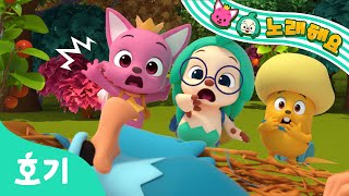 【NEW】 보물을 찾으러 떠나자!! | 보물 찾기송 | 놀이 동요 | 호기와 노래해요 | 호기! 핑크퐁 - 놀면서 배워요