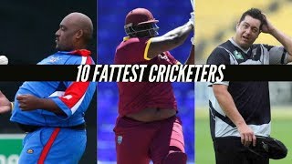 Fattest Cricketers Of All Time - In Cricket History
