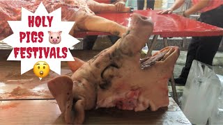 HOLY PIG FESTIVALS [ TAIWAN ]