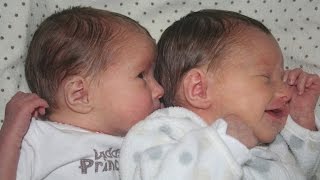 Twins Surprise Video (standard def)