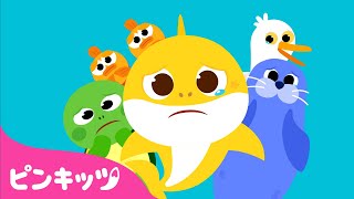 ちびザメは"くるしいよ????" | たすけよう　うみのいきもの | ふしぎのうた | サメの家族 | 童謡 | ピンキッツPINKFONG