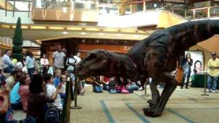 T-Rex Dino invades The Shops at Willow Bend!