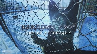 Сергей Наговицын - Каждому своё.