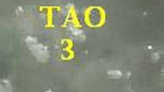 Tao Te Ching 8-10 by Stan Atamanchuk