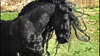 Spanish Guitar - Best Hits Vol.2 - Part 1