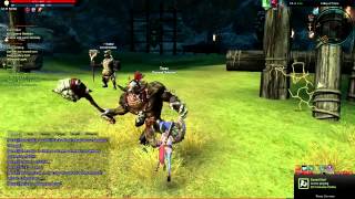 [TERA Beta] Killing Open World Bosses