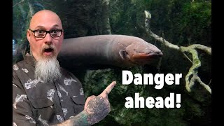 Into the Mind of Madness: Use Caution! years of working with dangerous animals accidents can happen
