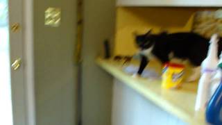 Test on Sony DSC-H20