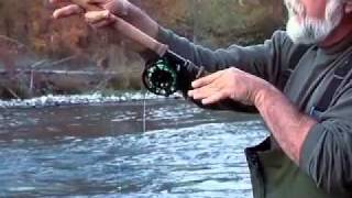 The Beauty of the Switch Rod H 264 Webcasting