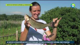 Один в поле - воин: фермер-отшельник возрождает российскую глубинку - МИР24