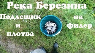 Река Березина. Ловля на фидер. Ловля подлещика. Ловля плотвы.